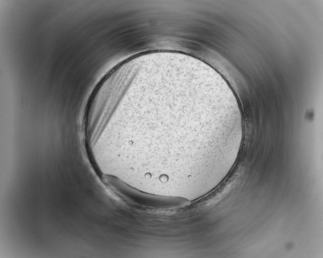 X0000101961141200808151309