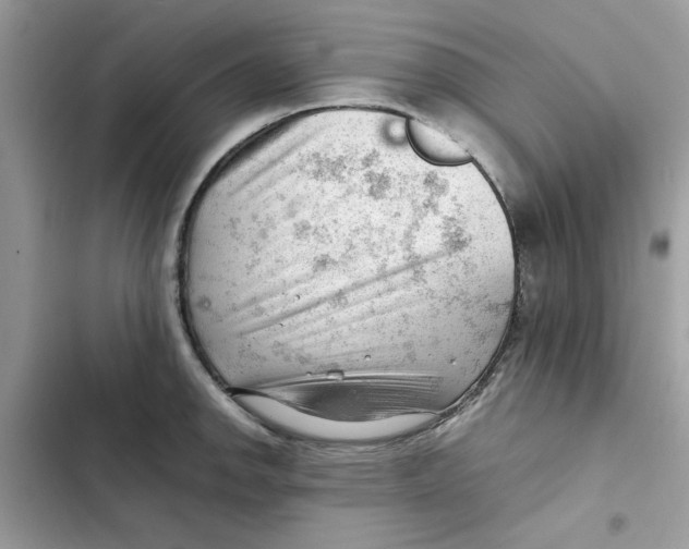 X0000101961142200808151309