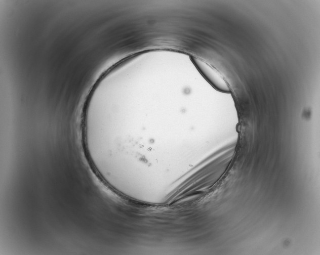 X0000101961143200808151309