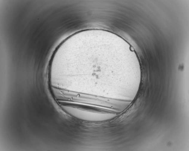 X0000101961144200808151309