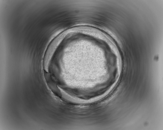 X0000101961145200808151309