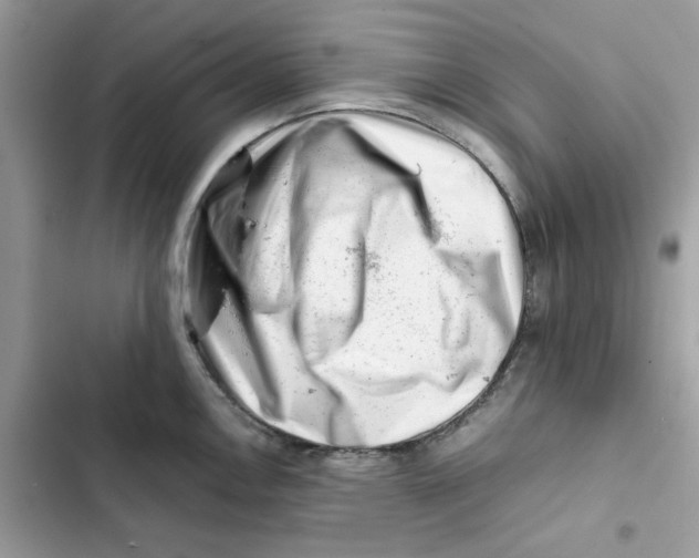 X0000101961146200808151309