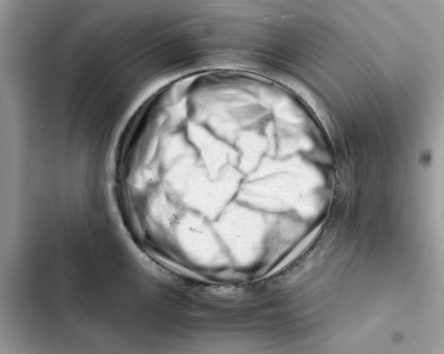 X0000101961147200808151309