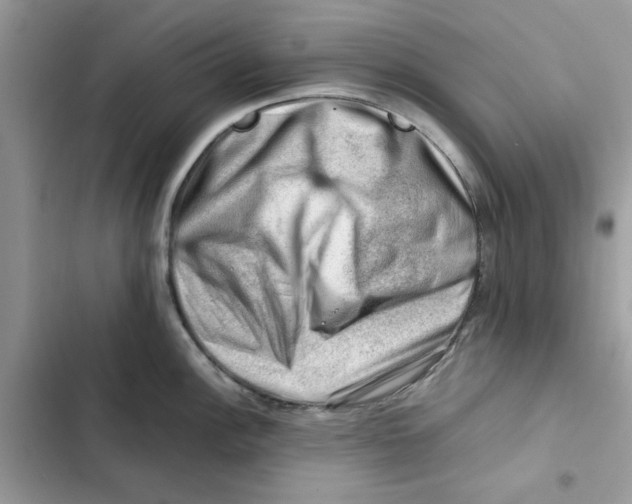 X0000101961148200808151309