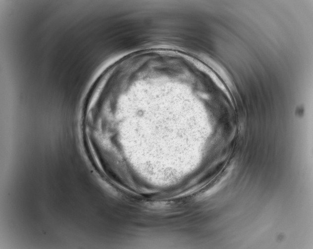 X0000101961149200808151309