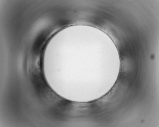 X0000101961150200808151309