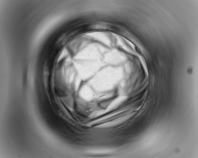 X0000101961151200808151309