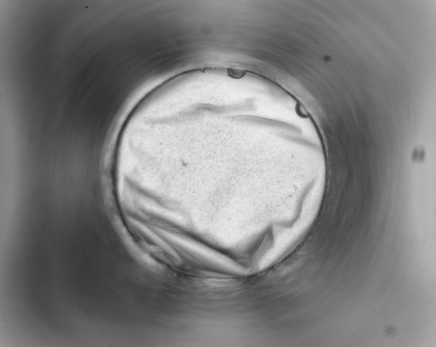 X0000101961152200808151309