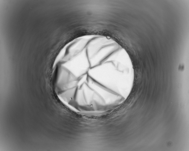 X0000101961153200808151308