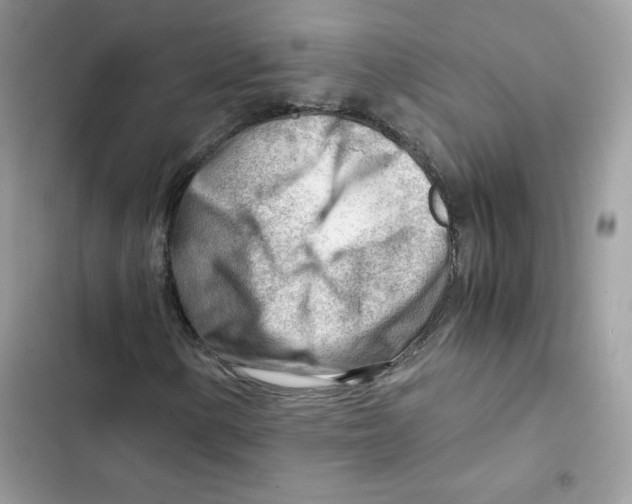 X0000101961154200808151308