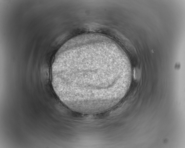 X0000101961155200808151308