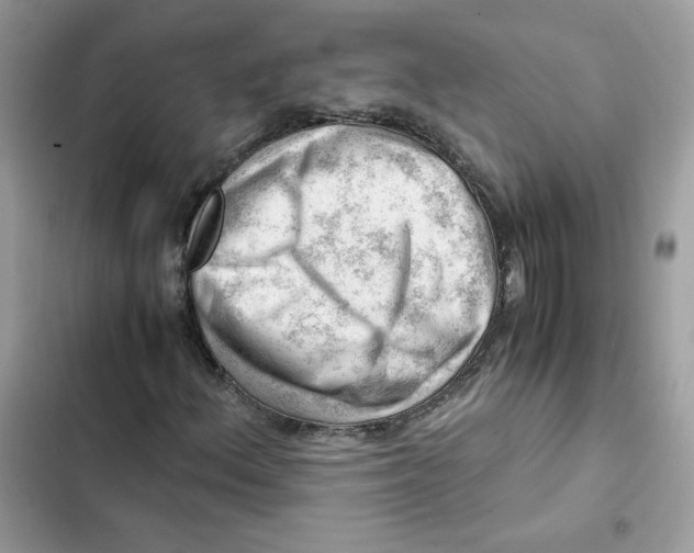 X0000101961156200808151308