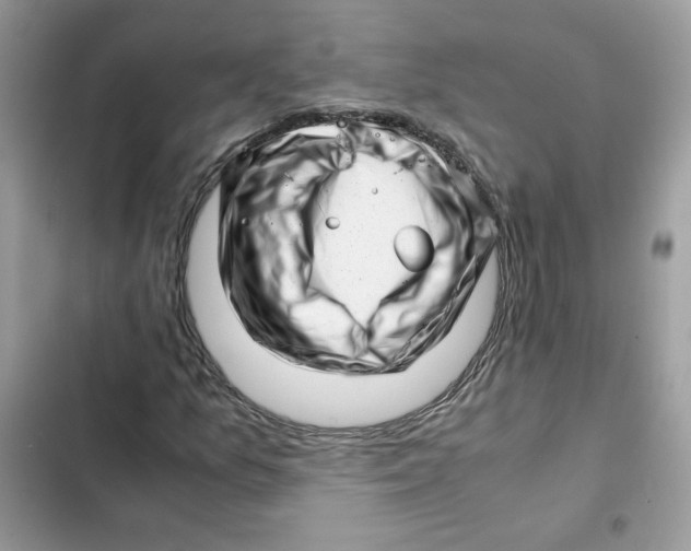X0000101961157200808151308
