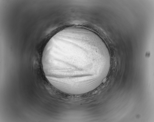 X0000101961158200808151308
