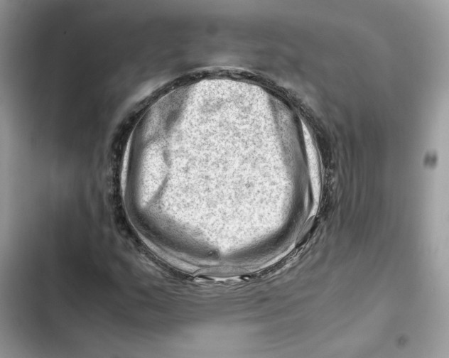 X0000101961159200808151308
