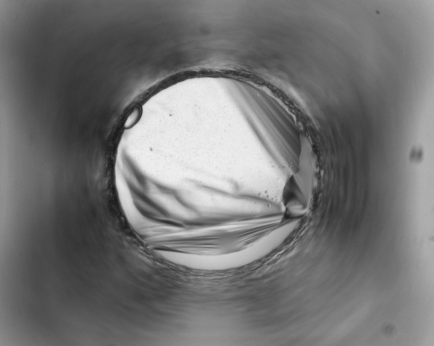 X0000101961160200808151308