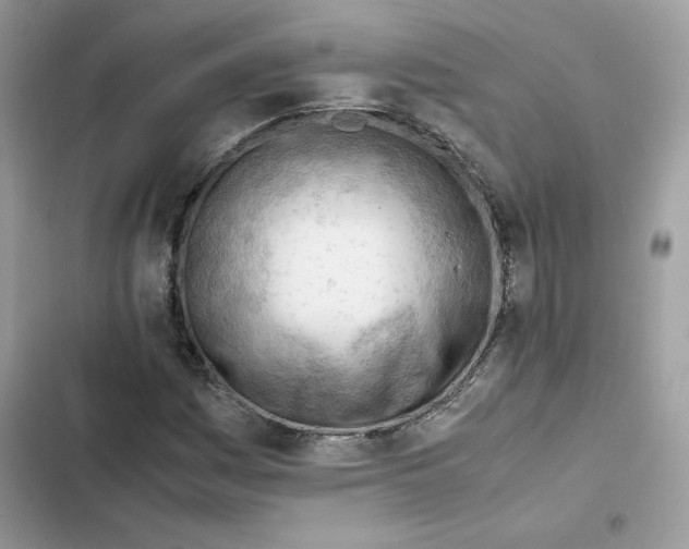 X0000101961161200808151308