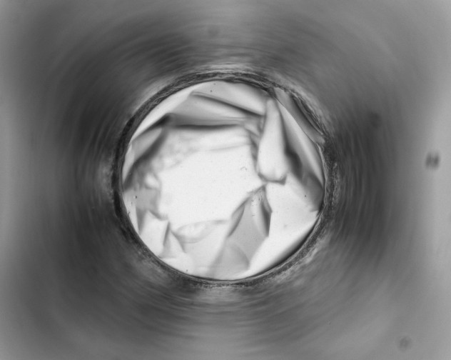 X0000101961162200808151308