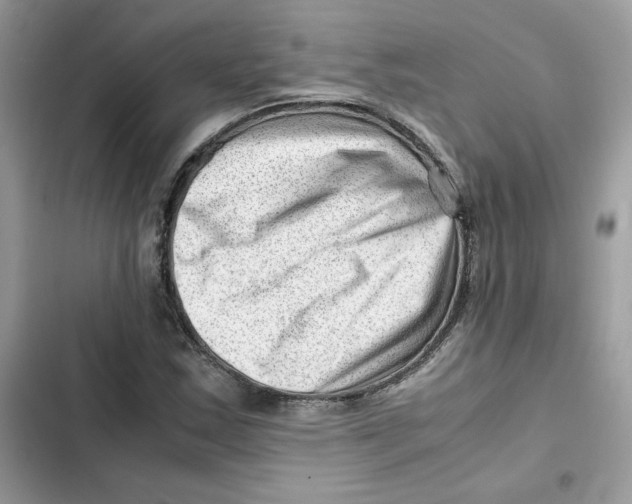 X0000101961163200808151308