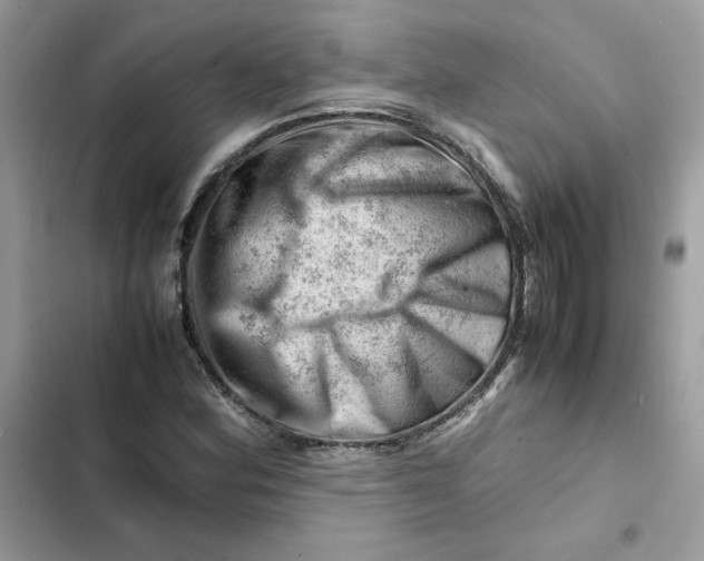 X0000101961164200808151308