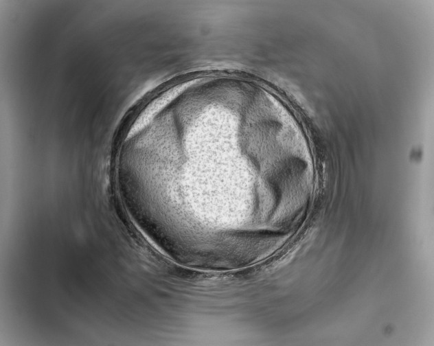 X0000101961165200808151308