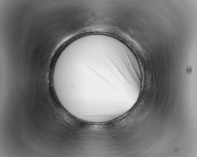 X0000101961166200808151308