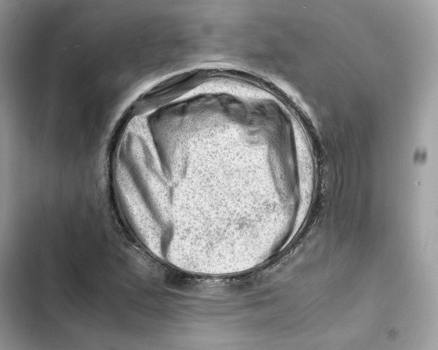 X0000101961167200808151308