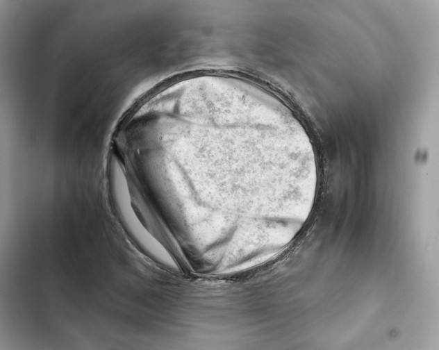 X0000101961168200808151308
