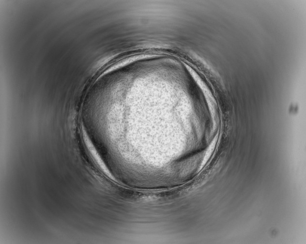 X0000101961169200808151308
