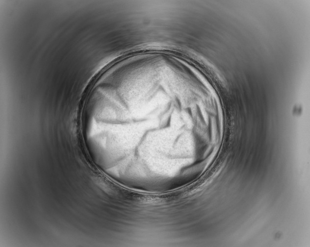 X0000101961170200808151308
