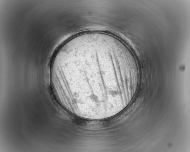 X0000101961171200808151308