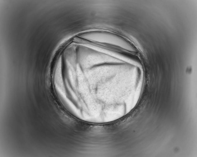 X0000101961172200808151308
