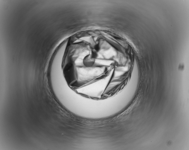 X0000101961173200808151308