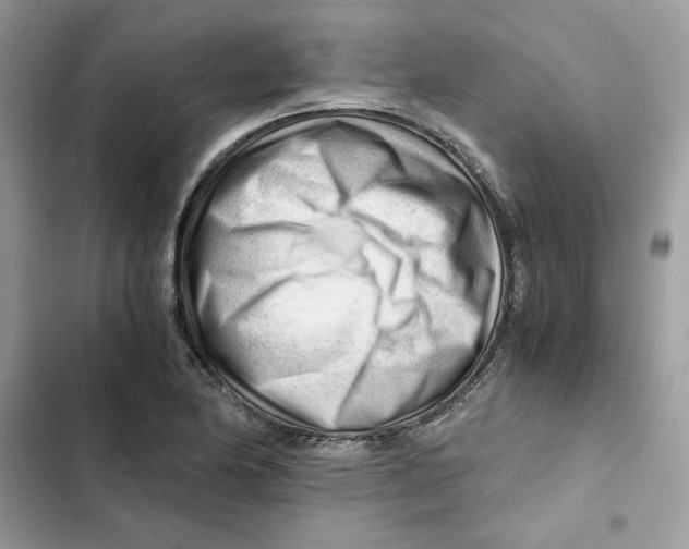 X0000101961174200808151308