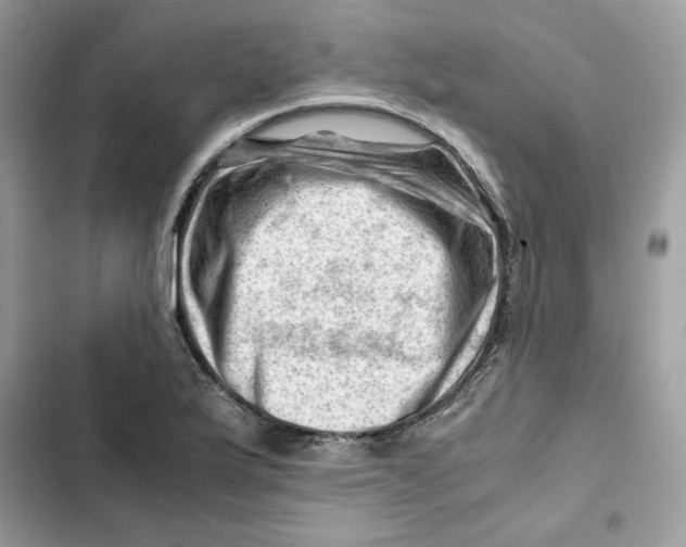 X0000101961175200808151308
