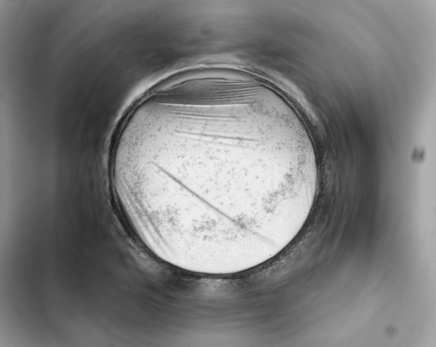 X0000101961176200808151308