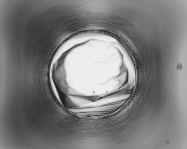 X0000101961177200808151308