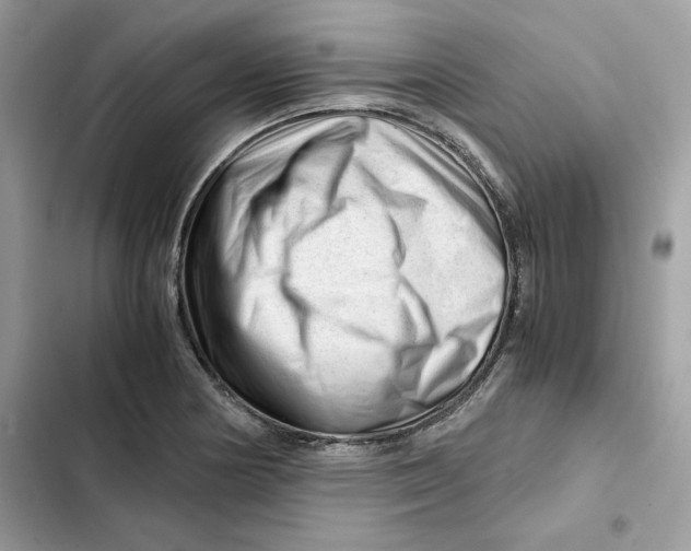 X0000101961178200808151308