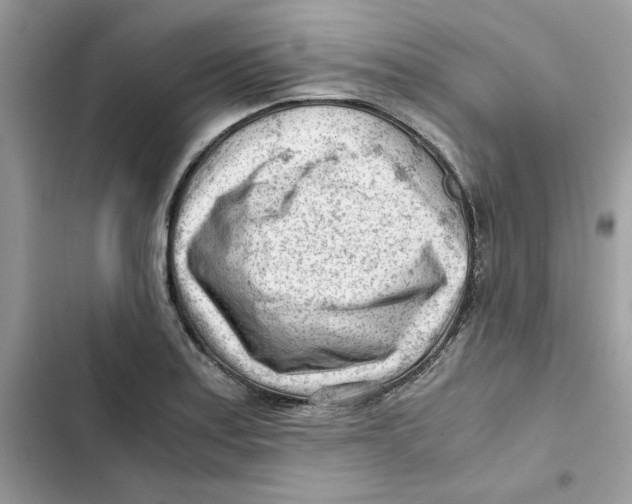 X0000101961179200808151308