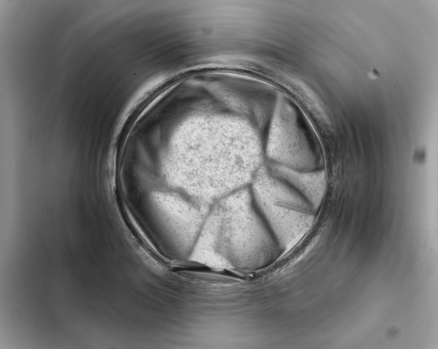X0000101961180200808151308