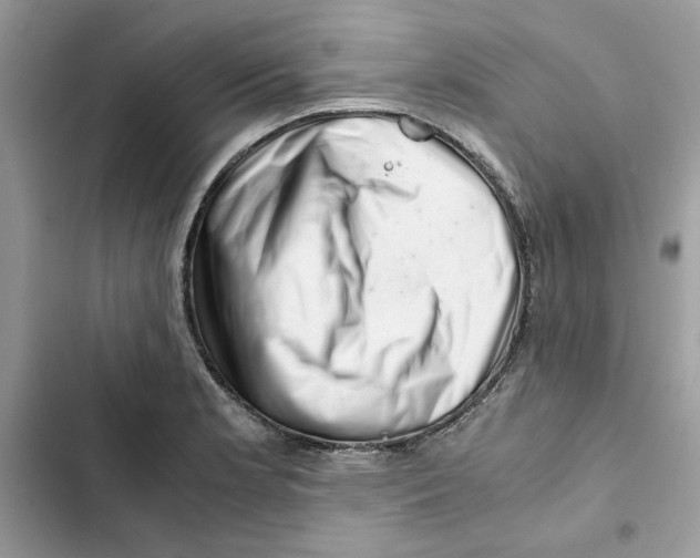 X0000101961181200808151308