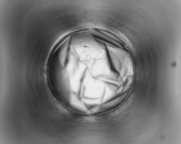 X0000101961182200808151308
