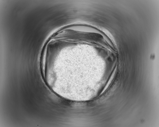 X0000101961183200808151308