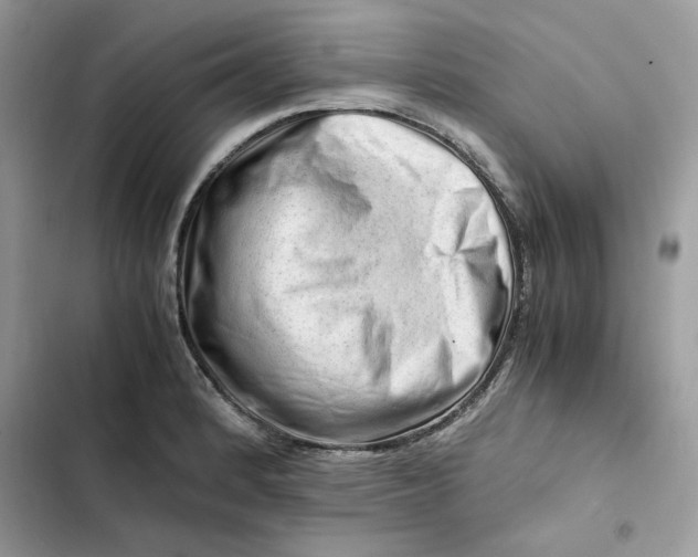 X0000101961184200808151308