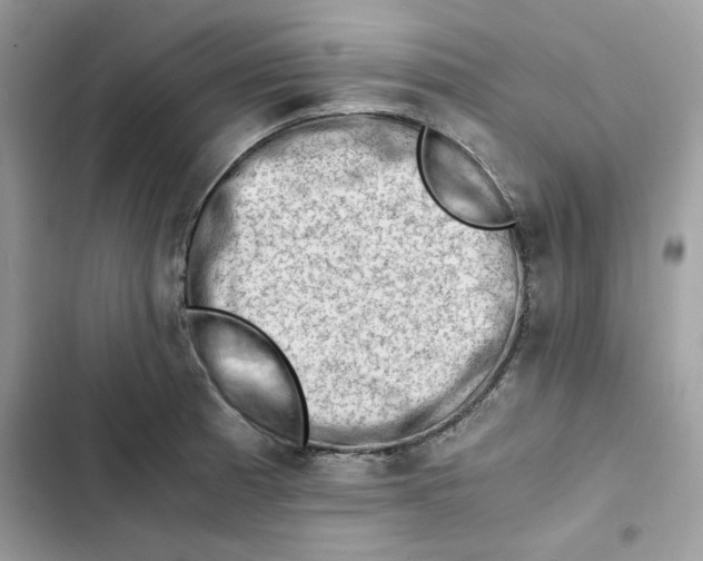 X0000101961185200808151308