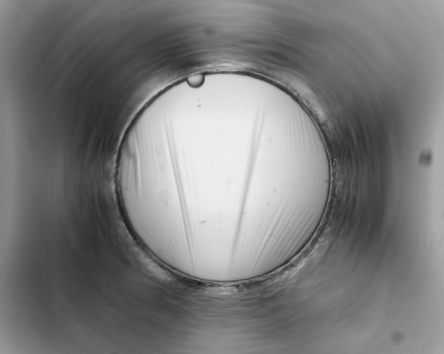 X0000101961186200808151308
