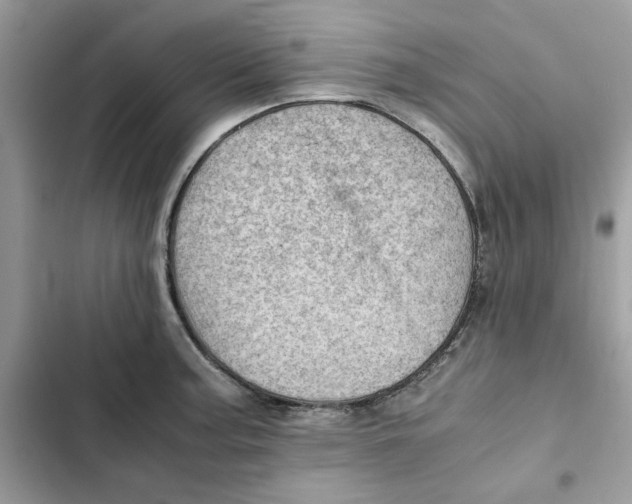 X0000101961187200808151308