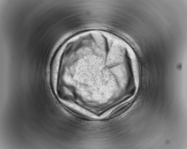 X0000101961188200808151308