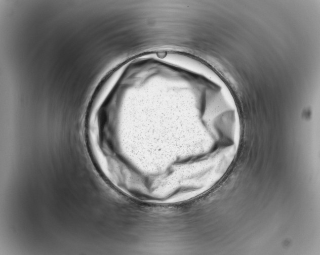 X0000101961189200808151308