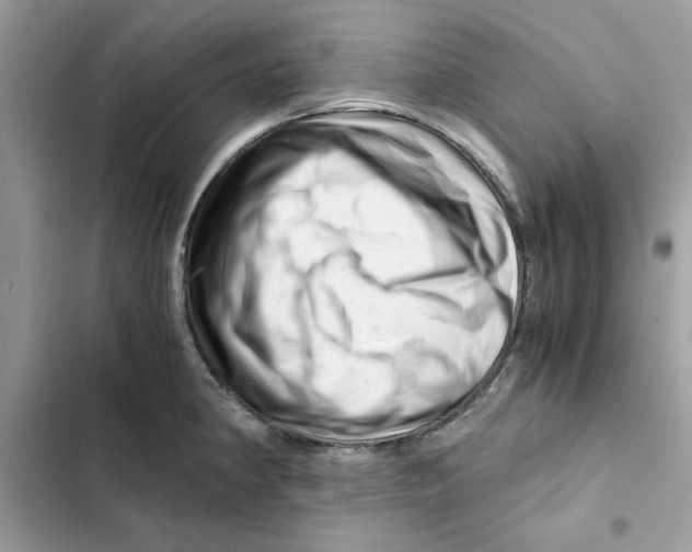 X0000101961190200808151308